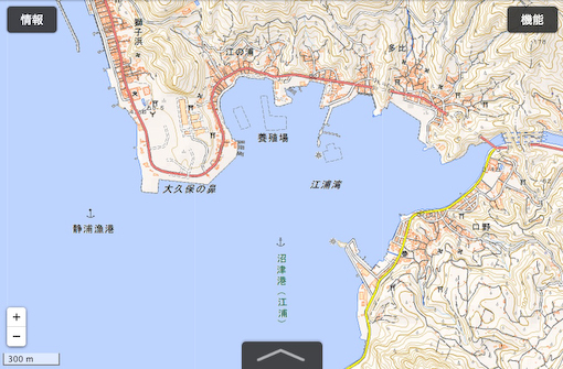 206おおくぼのはな-6.jpg