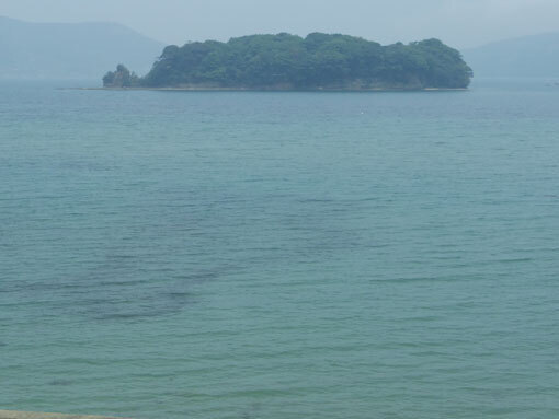 akayagahana05.JPG