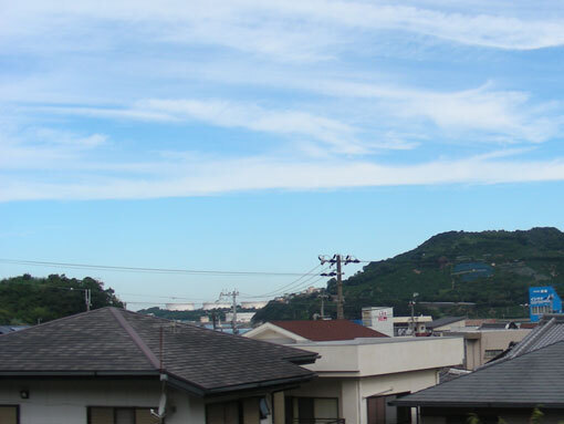 aoishihana01.jpg