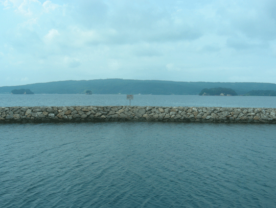 aratazaki06.gif