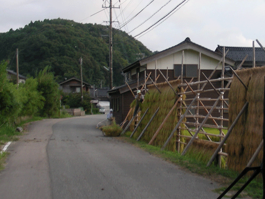 aratazaki07.gif