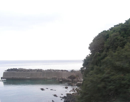 arizaki03.jpg