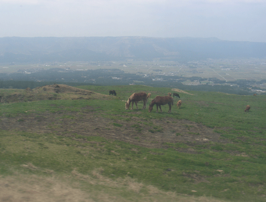 aso02.gif