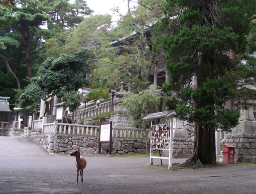 atsuizaki05.jpg