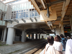 bakkonozaki255-1.jpg