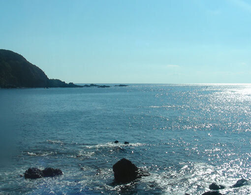 bokuzaki02.jpg