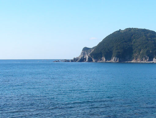 bokuzaki11.jpg