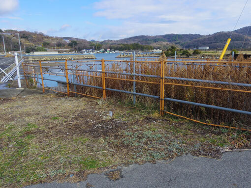 boraamizaki05.jpg