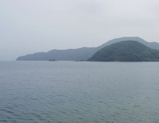 bougahana01.jpg