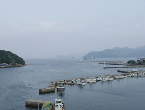 bougahana05.jpg