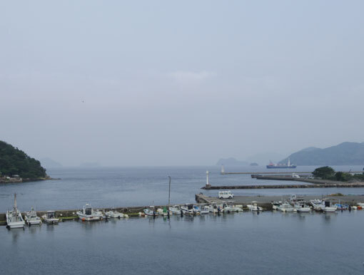 bougahana06.jpg