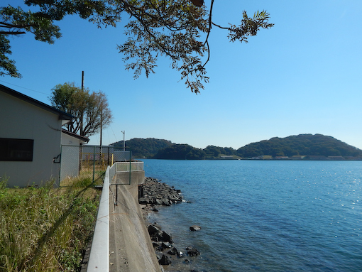 daichinohana-1.jpg