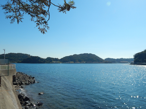 daichinohana-2.jpg