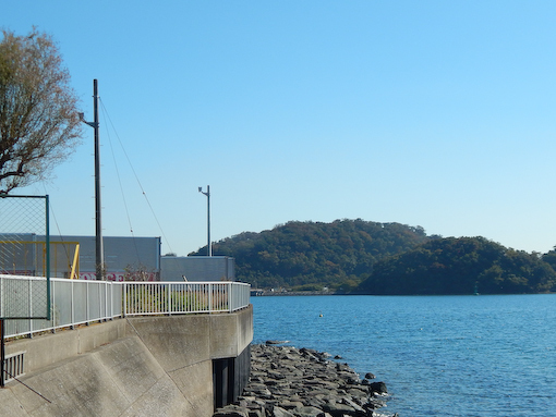daichinohana-3.jpg
