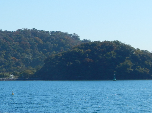 daichinohana-4.jpg