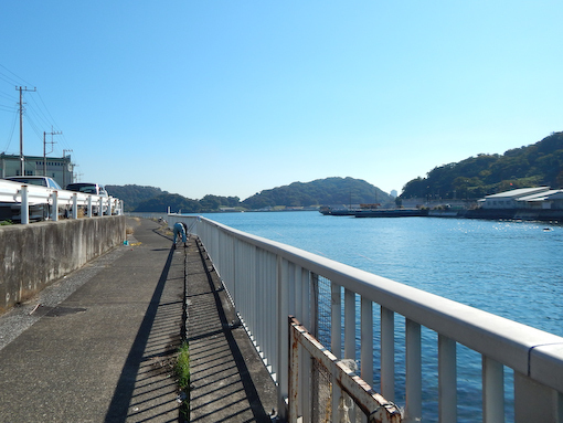 daichinohana-5.jpg