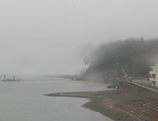 ebisuhana02.jpg