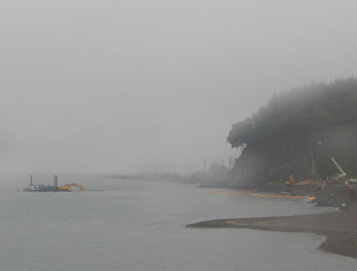 ebisuhana04.jpg