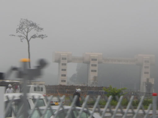ebisuhana05.jpg