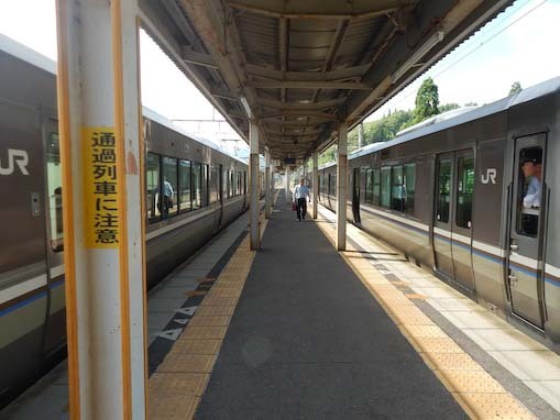 fujigahana-1.jpg