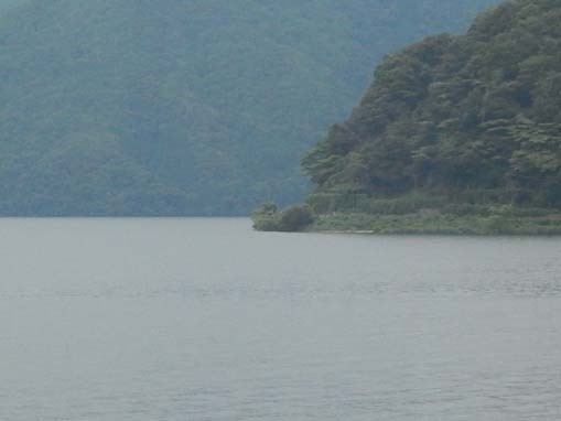 fujigahana-10.jpg