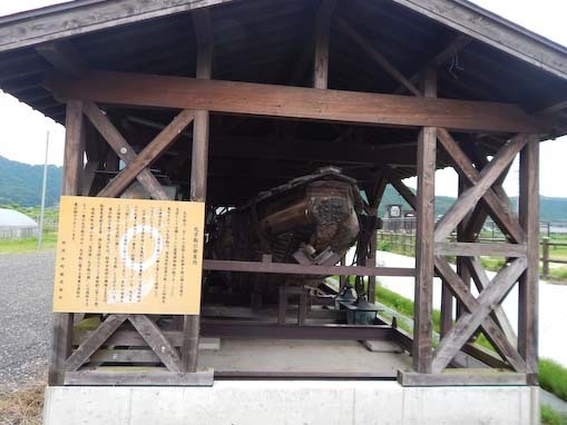 fujigahana-4.jpg