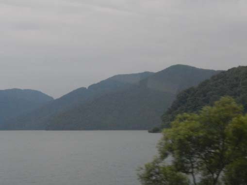 fujigahana-8.jpg