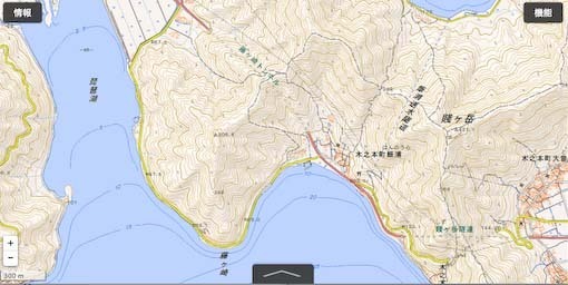fujigahanaM-1.jpg