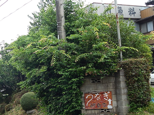 fujimidai-3.jpg