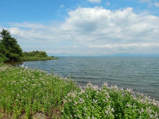 funakizaki-10.jpg