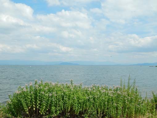funakizaki-8.jpg