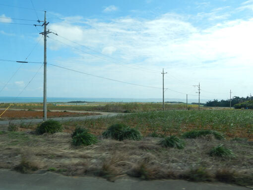 haimizaki02.jpg