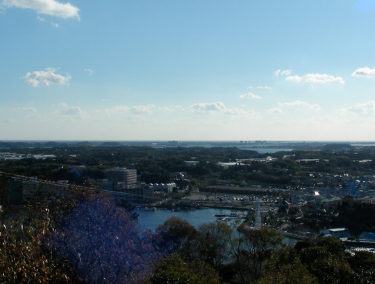 hakusanhana02.jpg