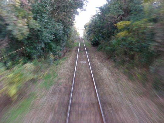 hakusanhana04.jpg