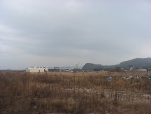 hanazurasaki07.jpg