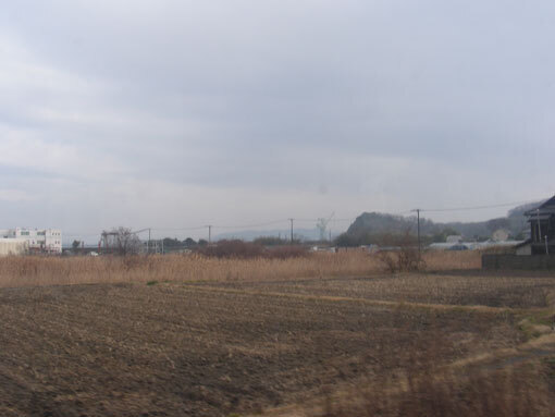 hanazurasaki08.jpg