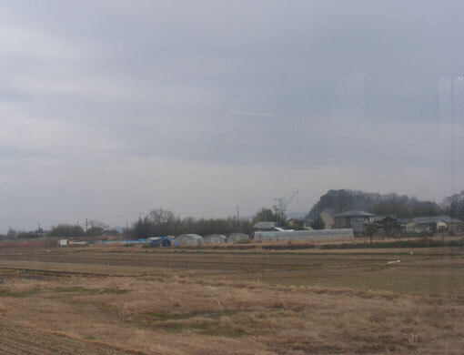 hanazurasaki09.jpg