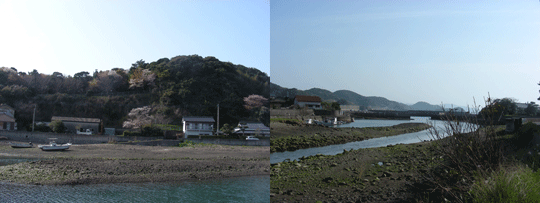 hirasehana08.gif