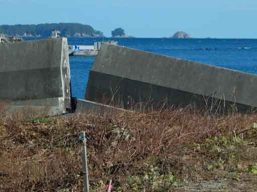 hirotazaki-1.jpg