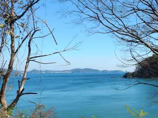 hirotazaki-10.jpg