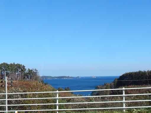 hirotazaki-5.jpg