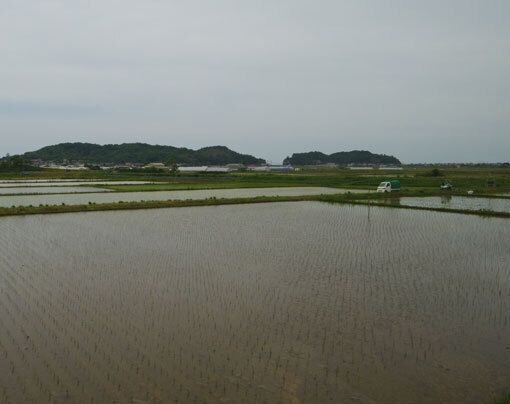hodenosakigaha08.jpg