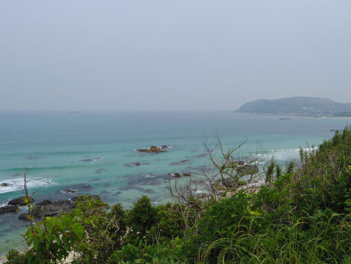 honbahana03.jpg