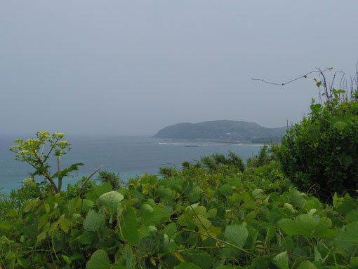 honbahana05.jpg