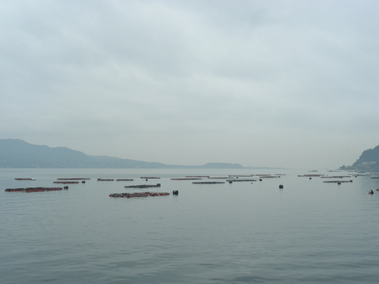 houfuji02.gif