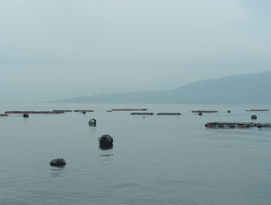 houfuji03.gif