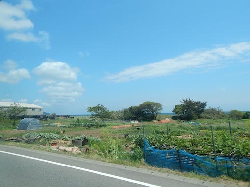 ichiburizaki-8.jpg