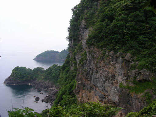 imadohana02.jpg