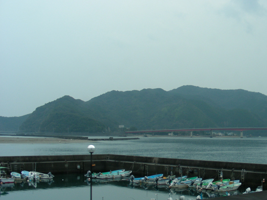 iromizai01.jpg