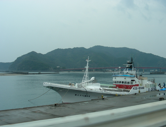 iromizai02.jpg
